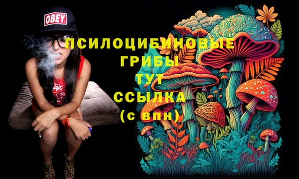не бодяженный Алзамай