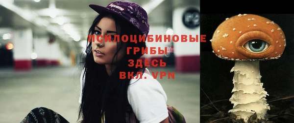 mix Алексин