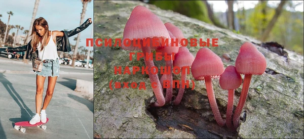 круглые Алексеевка